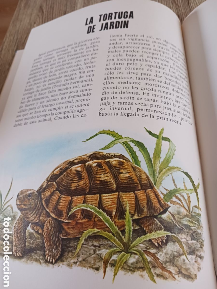 Libros de segunda mano: Conoce las Aves y los Reptiles. - Foto 16