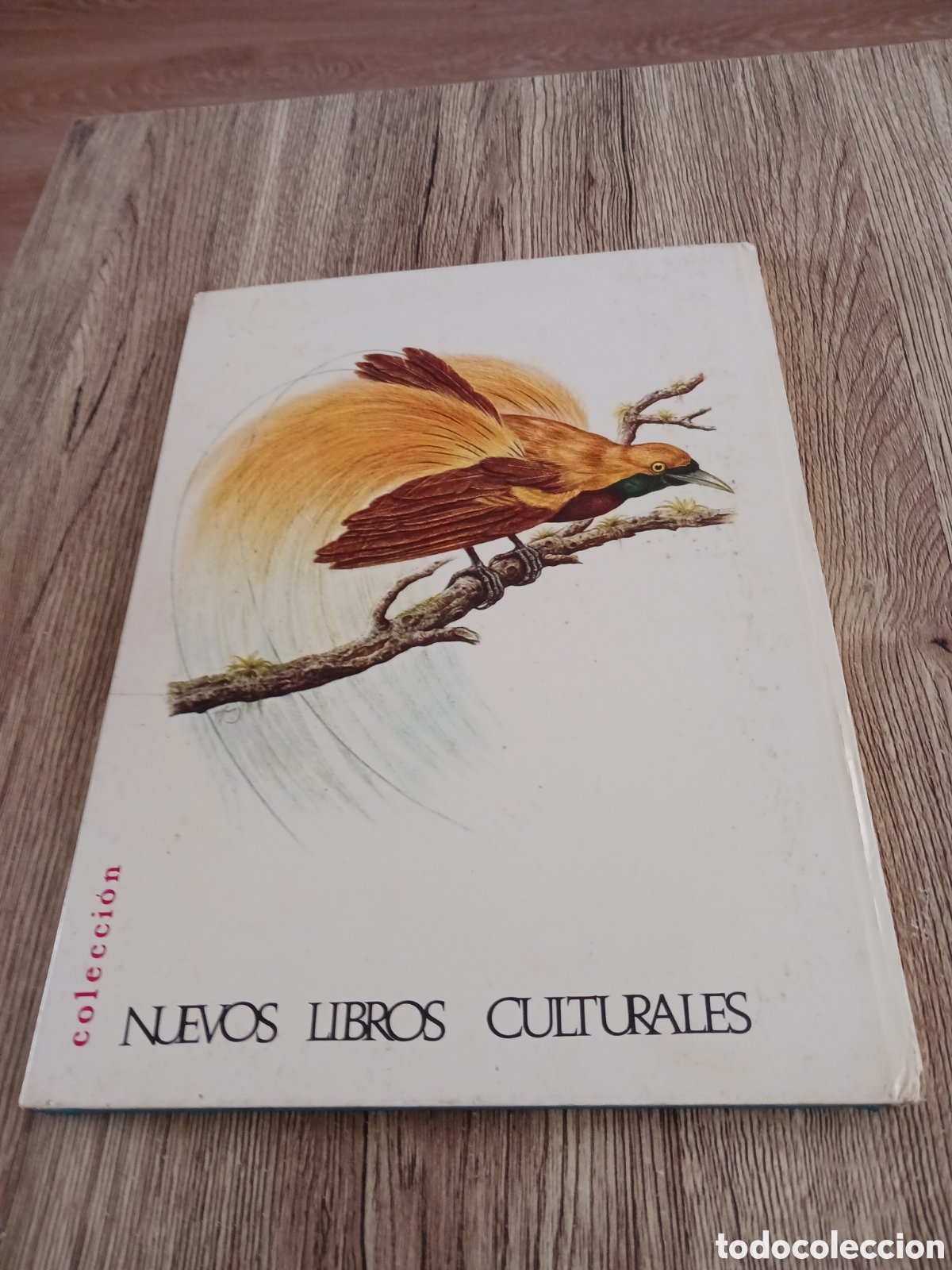 Libros de segunda mano: Conoce las Aves y los Reptiles. - Foto 17