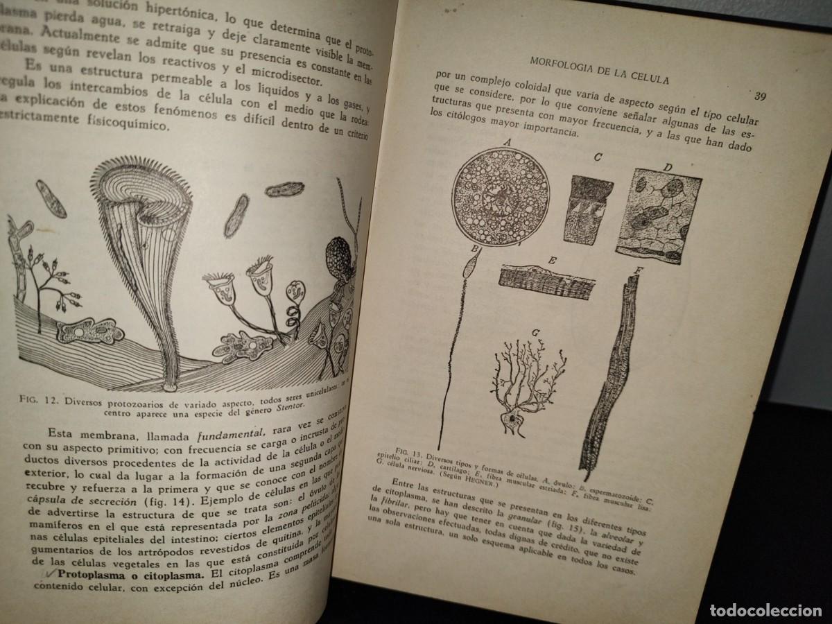 Libros de segunda mano: 51- BIOLOG&Iacute;A GENERAL. DR. JOS&Eacute; DE LILLE - 1965 - Foto 9