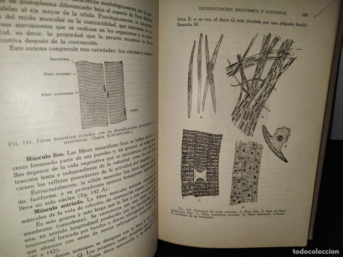Libros de segunda mano: 51- BIOLOG&Iacute;A GENERAL. DR. JOS&Eacute; DE LILLE - 1965 - Foto 10
