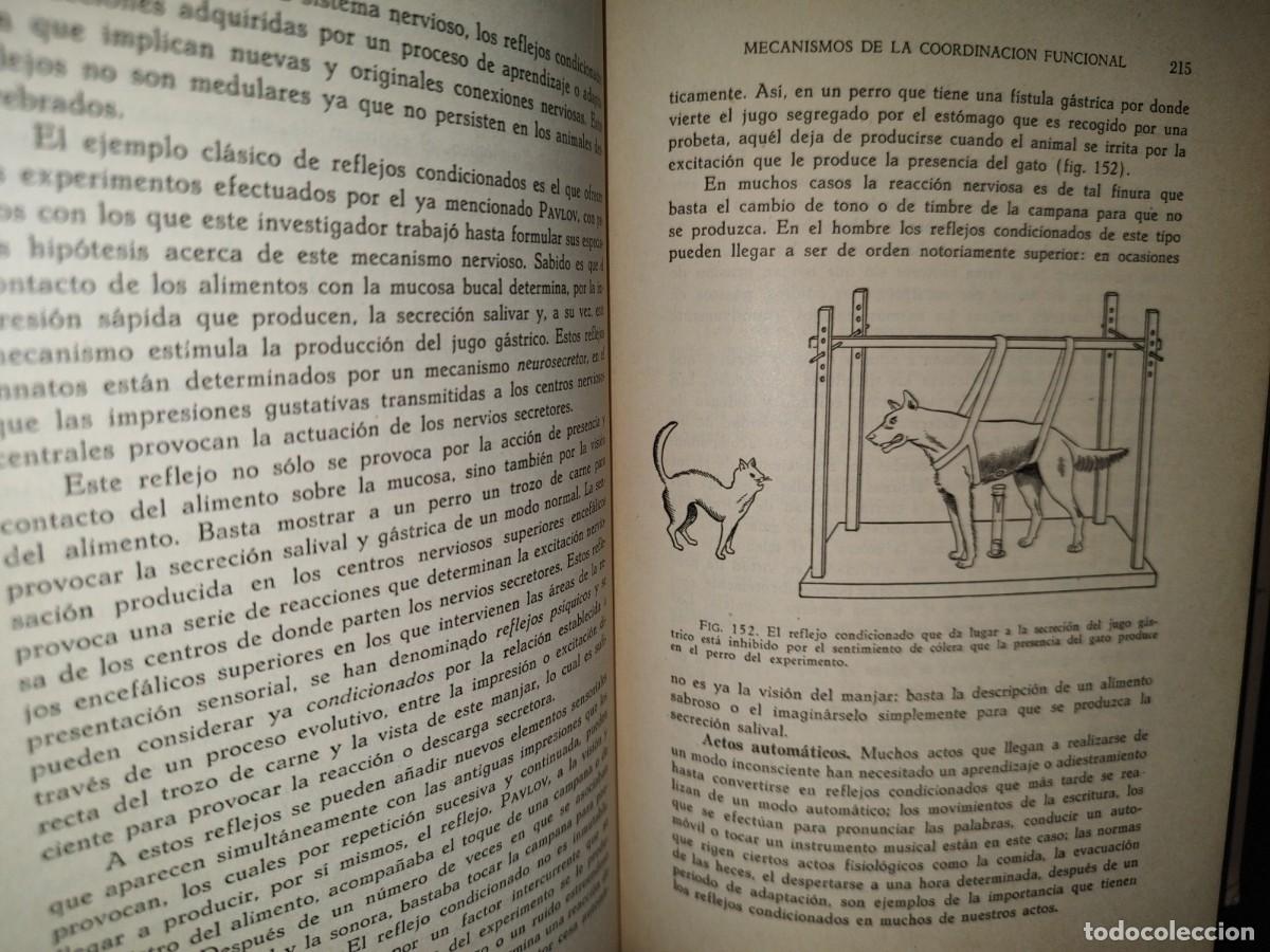 Libros de segunda mano: 51- BIOLOG&Iacute;A GENERAL. DR. JOS&Eacute; DE LILLE - 1965 - Foto 11
