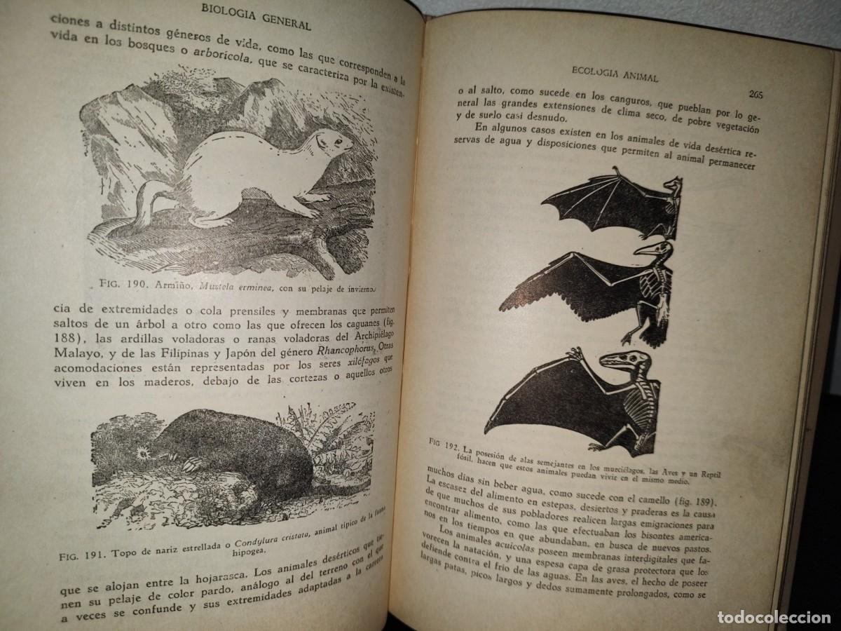 Libros de segunda mano: 51- BIOLOG&Iacute;A GENERAL. DR. JOS&Eacute; DE LILLE - 1965 - Foto 12
