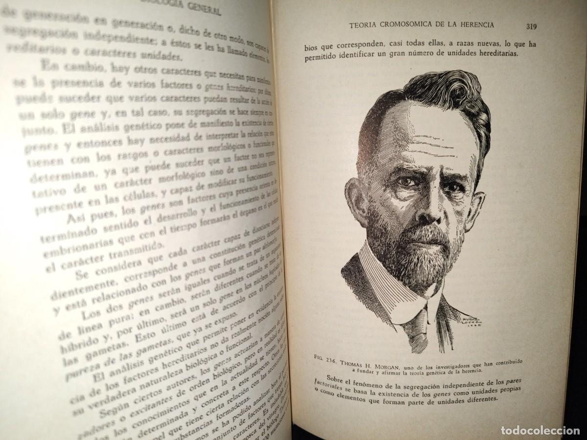 Libros de segunda mano: 51- BIOLOG&Iacute;A GENERAL. DR. JOS&Eacute; DE LILLE - 1965 - Foto 13