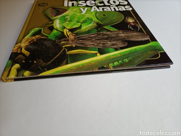 Libros de segunda mano: Insectos y ara&ntilde;as Noel Tait - Foto 4