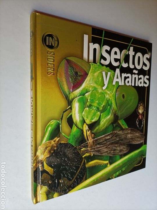 Libros de segunda mano: Insectos y ara&ntilde;as Noel Tait - Foto 1