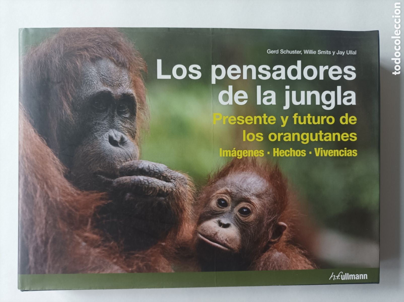 Libri di seconda mano: Los pensadores de la jungla. Presente y futuro de los orangutanes / Gerd Schuster, Willie Smith...