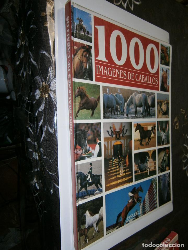 Libros de segunda mano: 1000 IMAGENES DE CABALLOS - LC1 - Foto 1