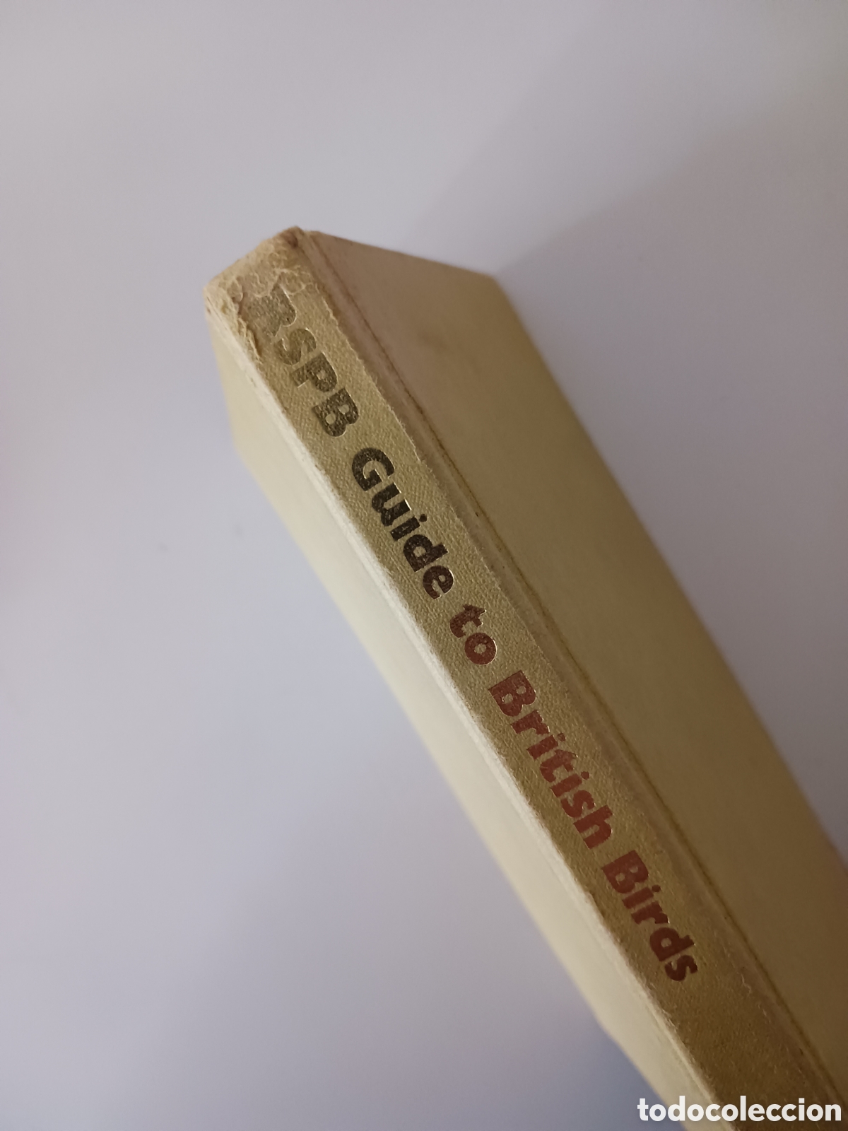 Libros de segunda mano: Guide to British Birds, RSPB, David Saunders, 1976 ingl&eacute;s - Foto 2