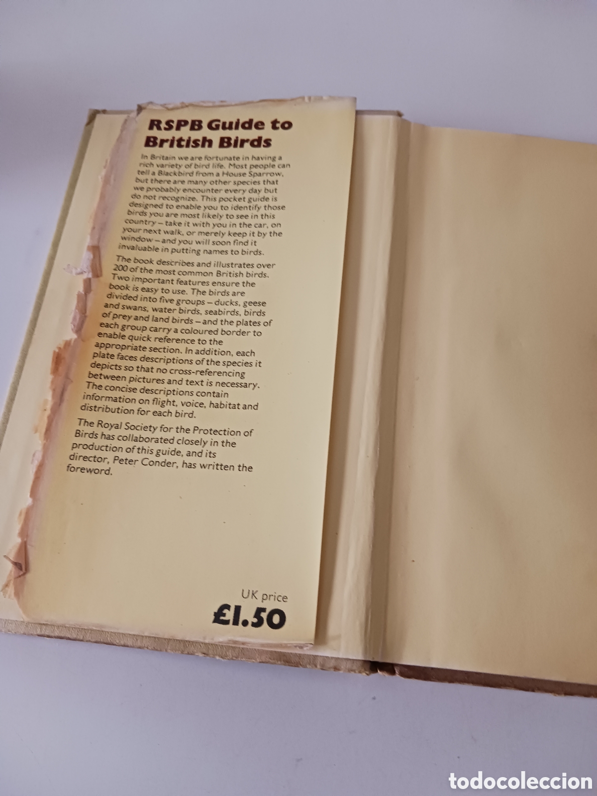 Libros de segunda mano: Guide to British Birds, RSPB, David Saunders, 1976 ingl&eacute;s - Foto 4