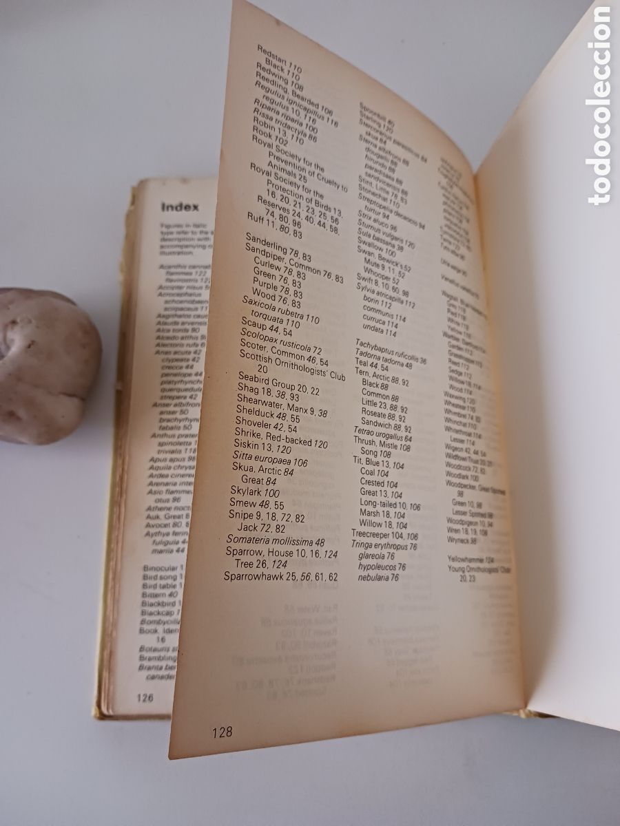 Libros de segunda mano: Guide to British Birds, RSPB, David Saunders, 1976 ingl&eacute;s - Foto 12