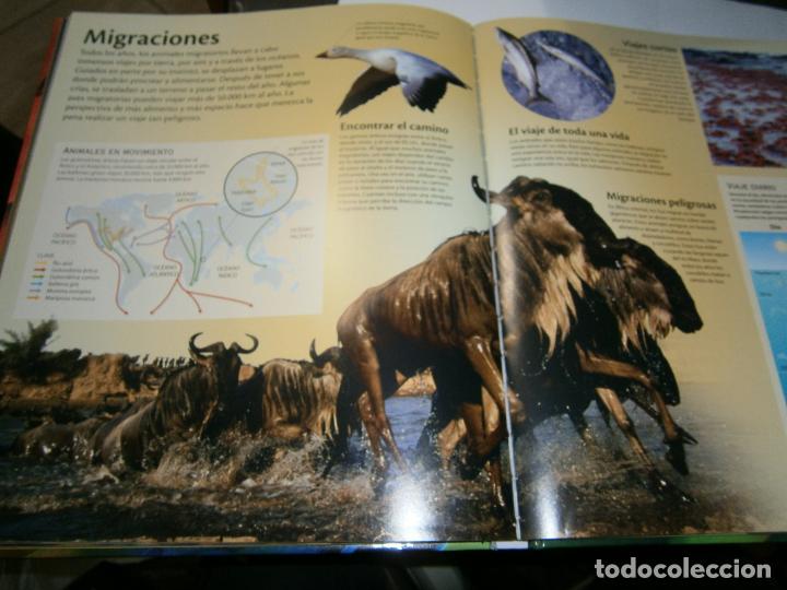 Libros de segunda mano: LA VIDA DE LOS ANIMALES - Foto 2