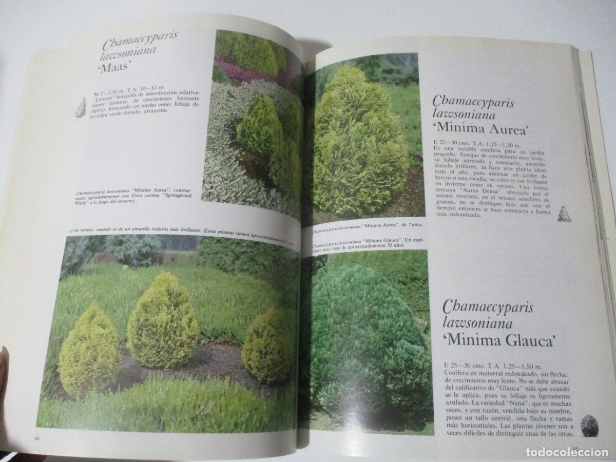 Libros de segunda mano: CON&Iacute;FERAS ORNAMENTALES W15977 - Foto 4