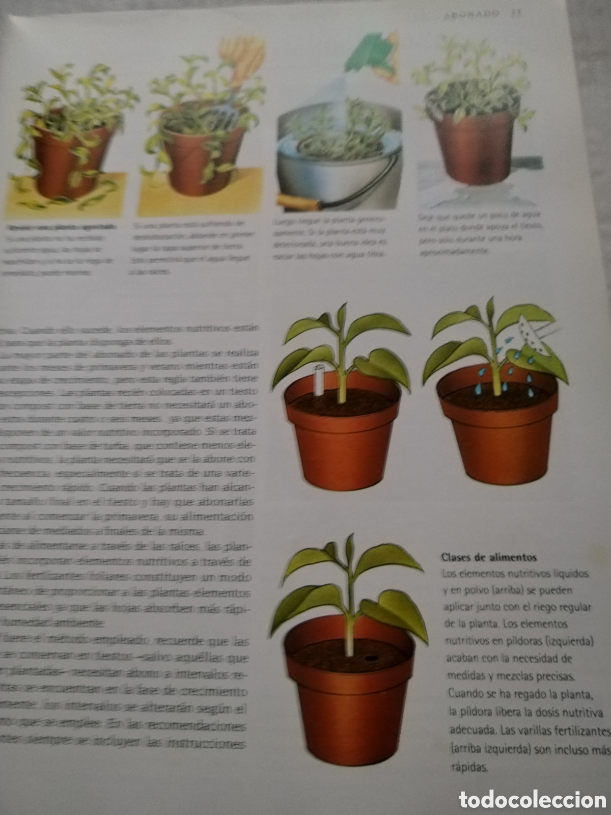 Libros de segunda mano: PLANTAS DE INTERIOR/VV. AA. - Foto 2