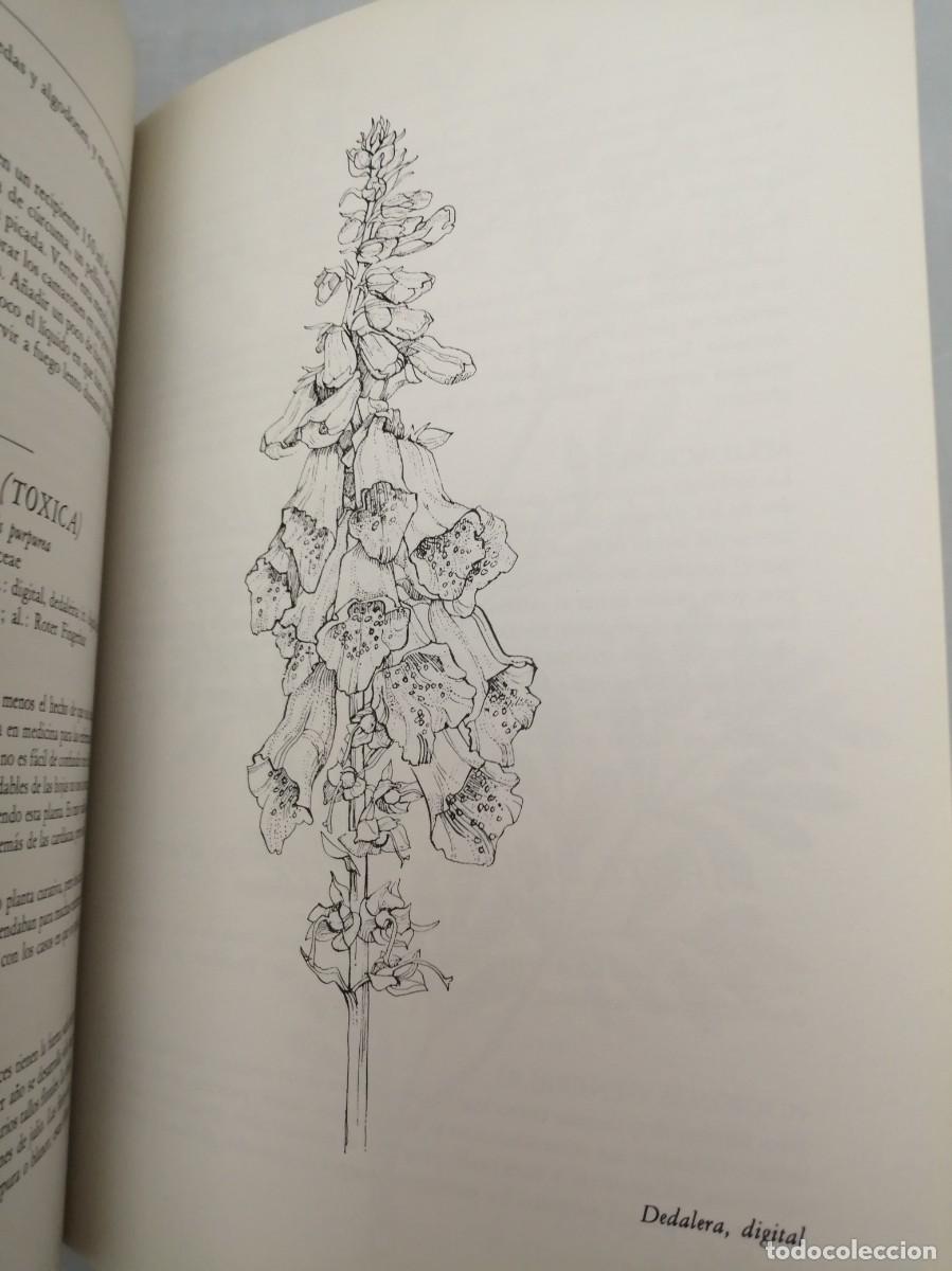 Libros de segunda mano: GU&Iacute;A DE LAS HIERBAS Y ESPECIAS - Foto 3