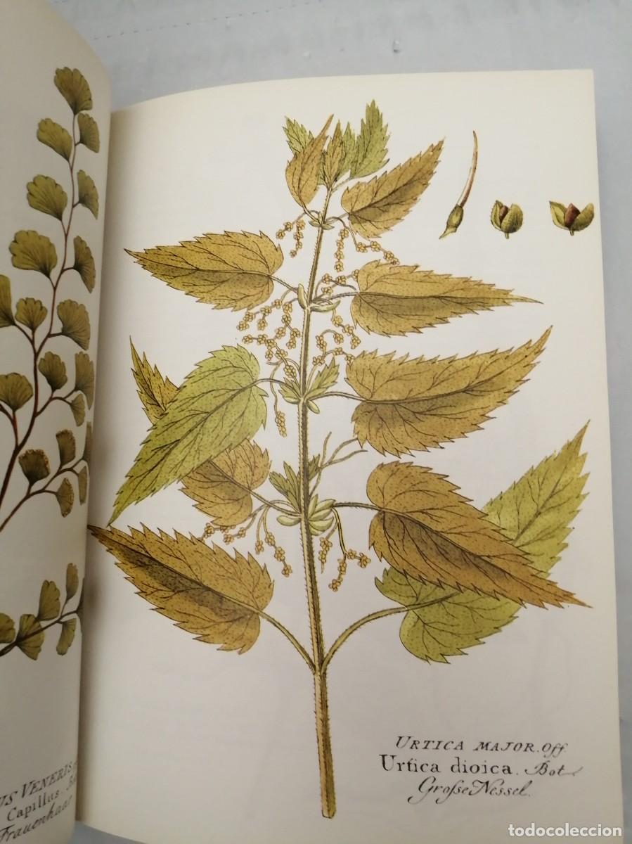 Libros de segunda mano: GU&Iacute;A DE LAS HIERBAS Y ESPECIAS - Foto 6