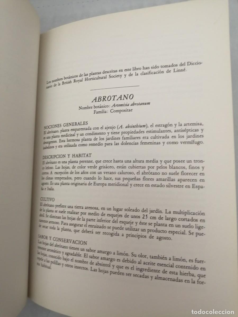 Libros de segunda mano: GU&Iacute;A DE LAS HIERBAS Y ESPECIAS - Foto 7