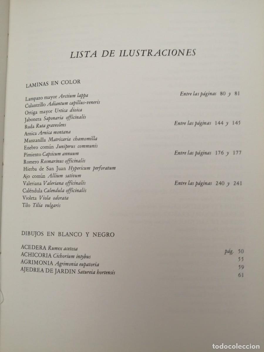 Libros de segunda mano: GU&Iacute;A DE LAS HIERBAS Y ESPECIAS - Foto 12