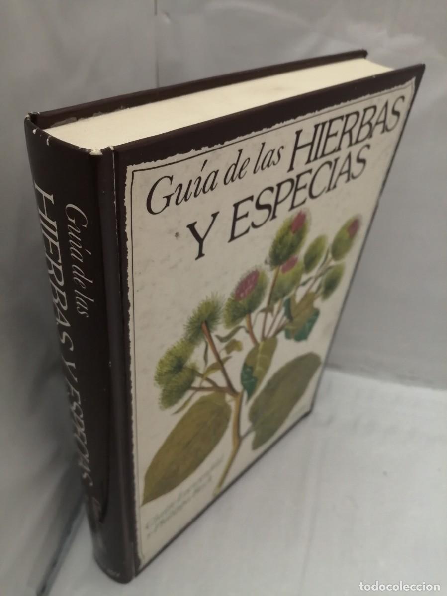 Libros de segunda mano: GU&Iacute;A DE LAS HIERBAS Y ESPECIAS - Foto 13