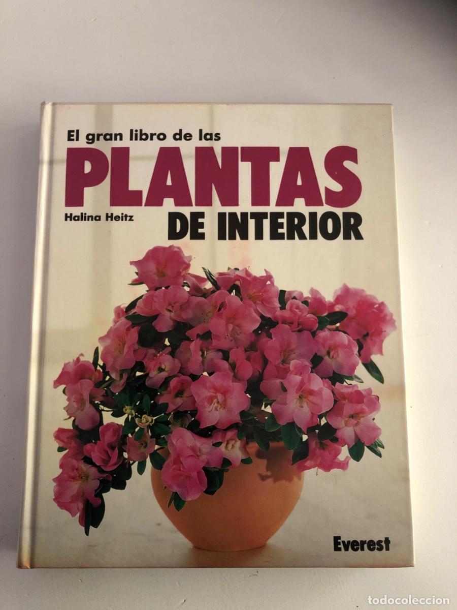 Libros de segunda mano: UN GRAN LIBRO DE LAS PLANTAS DE INTERIOR HALINA HEITZ - Foto 1