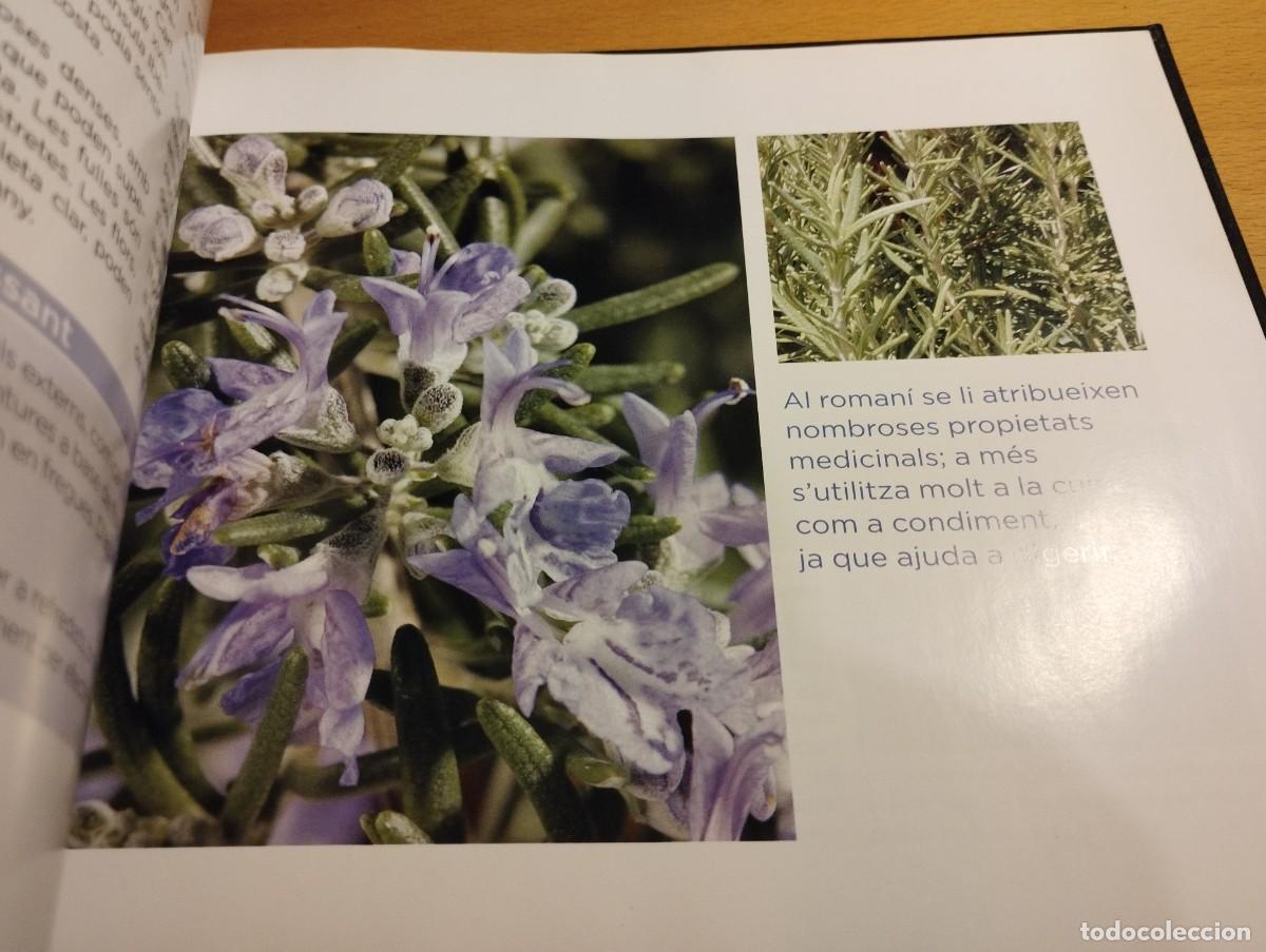 Libros de segunda mano: CON&Egrave;IXER LES NOSTRES PLANTES (LA CAIXA) - Foto 4