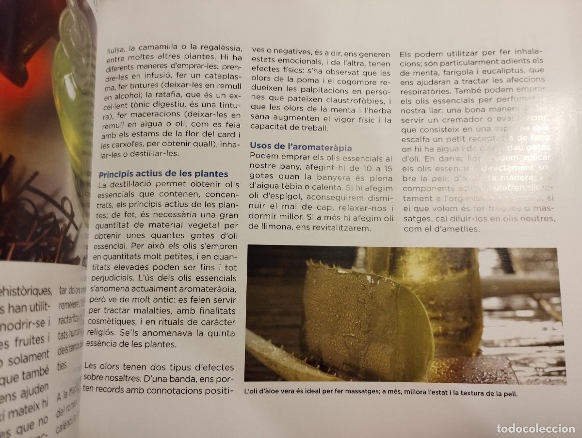 Libros de segunda mano: CON&Egrave;IXER LES NOSTRES PLANTES (LA CAIXA) - Foto 5
