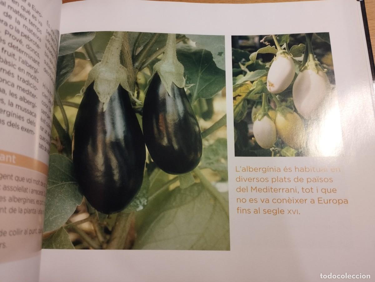 Libros de segunda mano: CON&Egrave;IXER LES NOSTRES PLANTES (LA CAIXA) - Foto 8