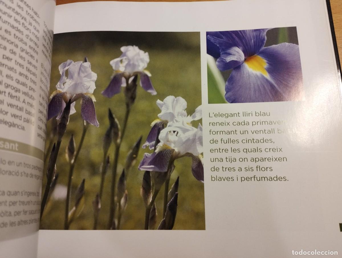 Libros de segunda mano: CON&Egrave;IXER LES NOSTRES PLANTES (LA CAIXA) - Foto 9