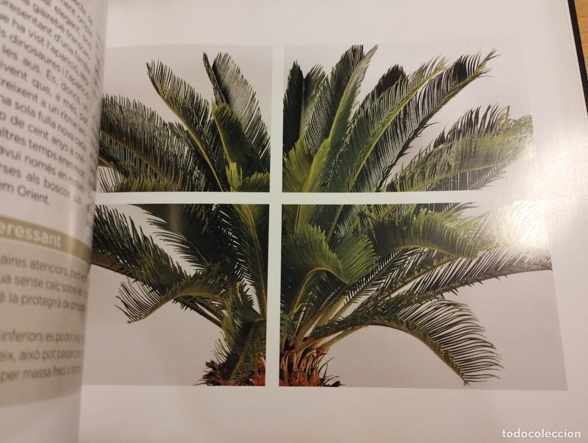 Libros de segunda mano: CON&Egrave;IXER LES NOSTRES PLANTES (LA CAIXA) - Foto 10
