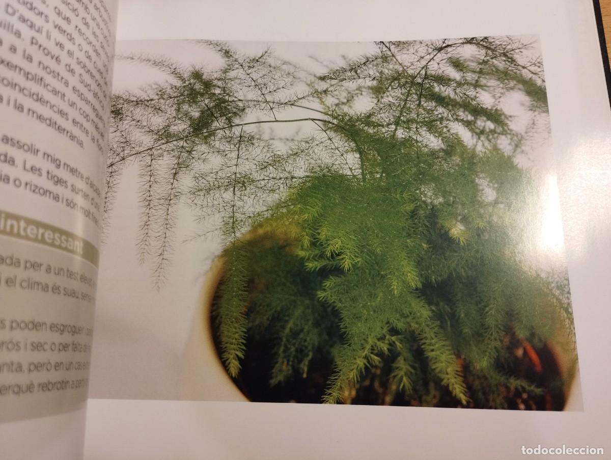 Libros de segunda mano: CON&Egrave;IXER LES NOSTRES PLANTES (LA CAIXA) - Foto 11