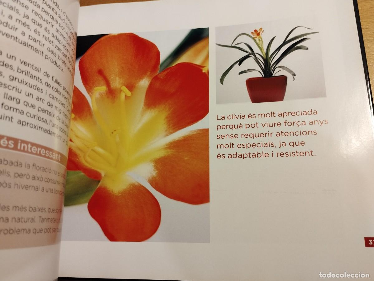 Libros de segunda mano: CON&Egrave;IXER LES NOSTRES PLANTES (LA CAIXA) - Foto 13