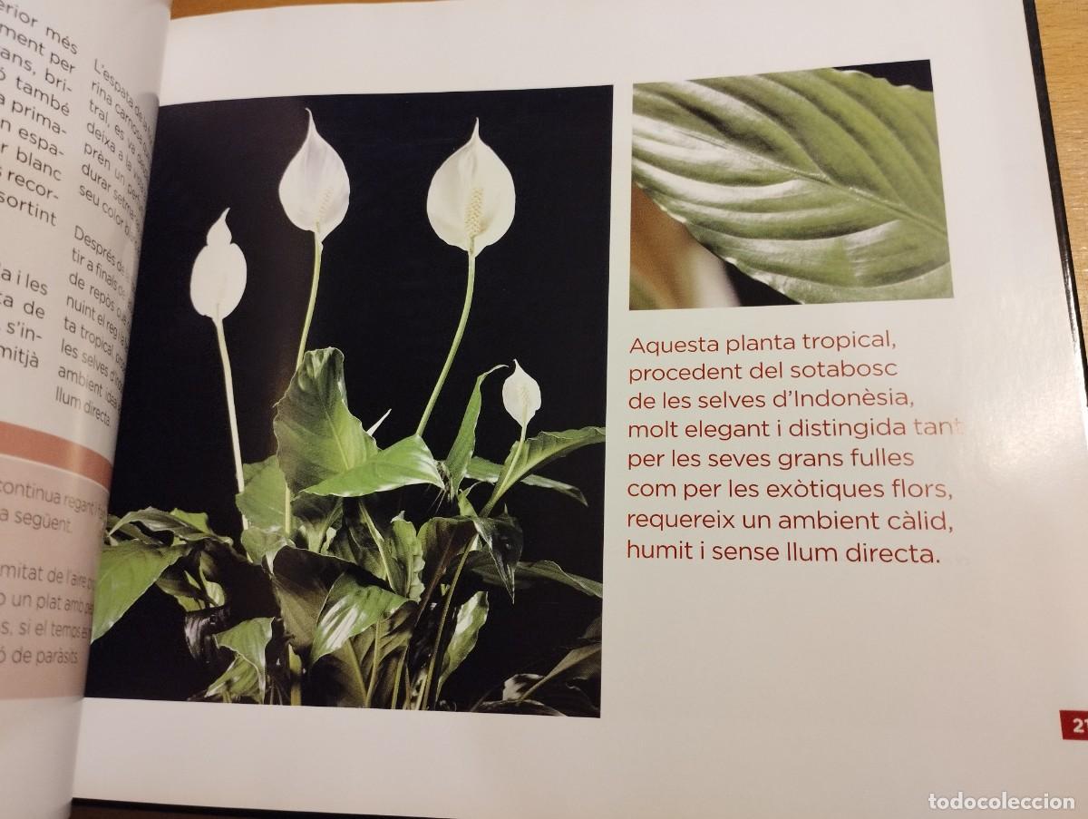 Libros de segunda mano: CON&Egrave;IXER LES NOSTRES PLANTES (LA CAIXA) - Foto 16
