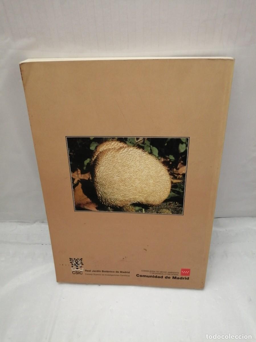 Libros de segunda mano: SETAS DE MADRID (PRIMERA EDICI&Oacute;N) - Foto 2