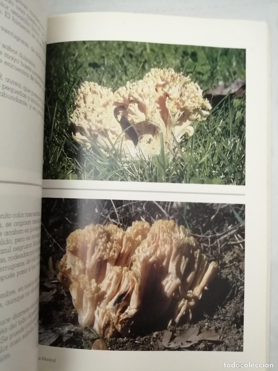 Libros de segunda mano: SETAS DE MADRID (PRIMERA EDICI&Oacute;N) - Foto 5