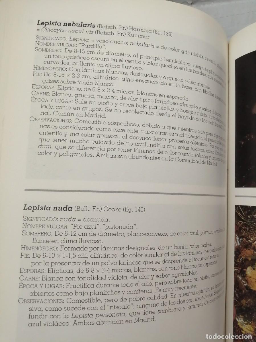 Libros de segunda mano: SETAS DE MADRID (PRIMERA EDICI&Oacute;N) - Foto 7