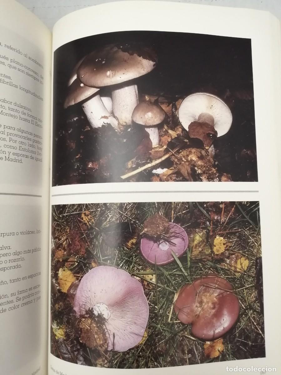Libros de segunda mano: SETAS DE MADRID (PRIMERA EDICI&Oacute;N) - Foto 8