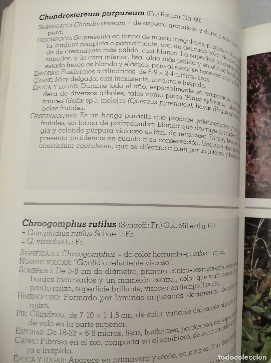 Libros de segunda mano: SETAS DE MADRID (PRIMERA EDICI&Oacute;N) - Foto 10