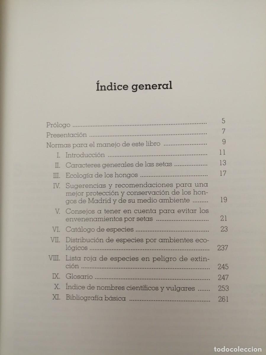 Libros de segunda mano: SETAS DE MADRID (PRIMERA EDICI&Oacute;N) - Foto 3