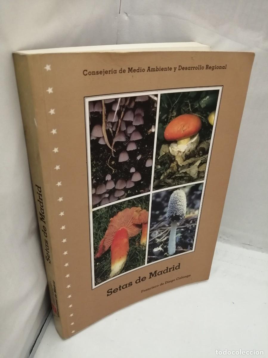Libros de segunda mano: SETAS DE MADRID (PRIMERA EDICI&Oacute;N) - Foto 13