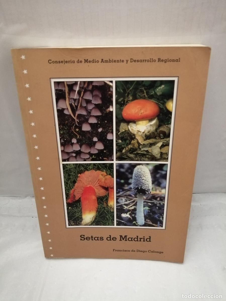 Libros de segunda mano: SETAS DE MADRID (PRIMERA EDICI&Oacute;N) - Foto 1