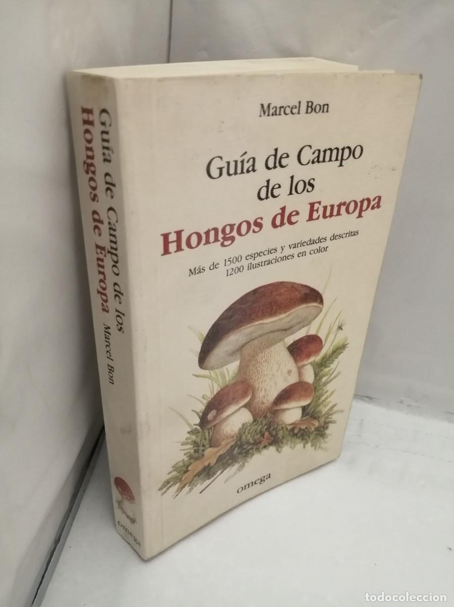 Libros de segunda mano: GU&Iacute;A DE CAMPO DE LOS HONGOS DE EUROPA - Foto 8