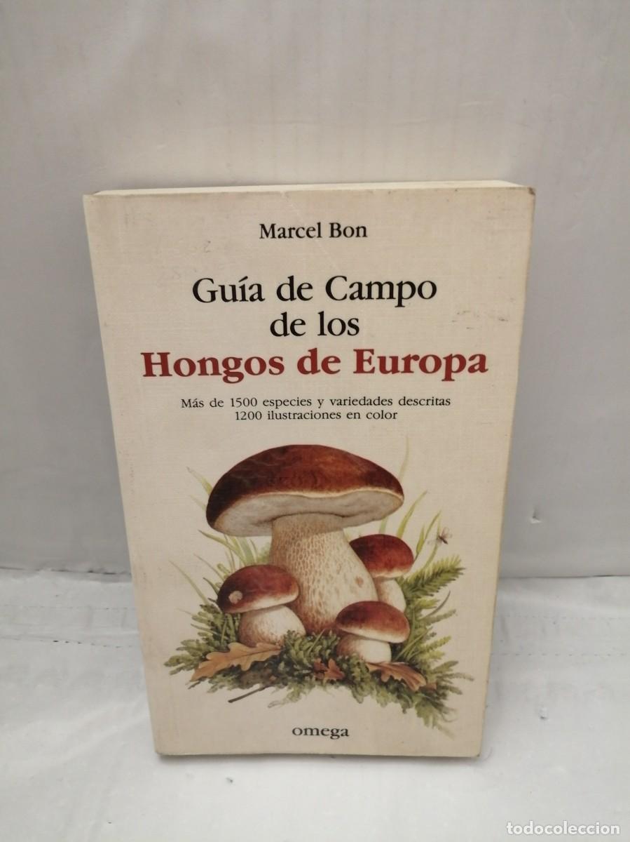 Libros de segunda mano: GU&Iacute;A DE CAMPO DE LOS HONGOS DE EUROPA - Foto 1