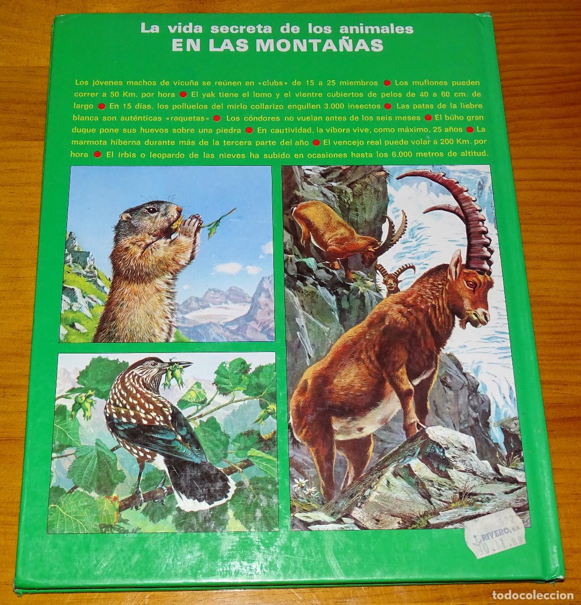 Libros de segunda mano: La vida secreta de los animales en las monta&ntilde;as. - Foto 2