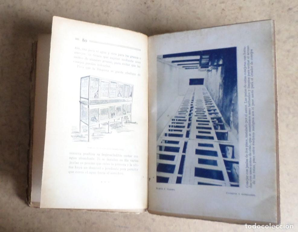 Libros de segunda mano: CONEJOS Y CONEJERAS - Ram&oacute;n J. Crespo - Ed. Espasa Calpes 1930 - Foto 7