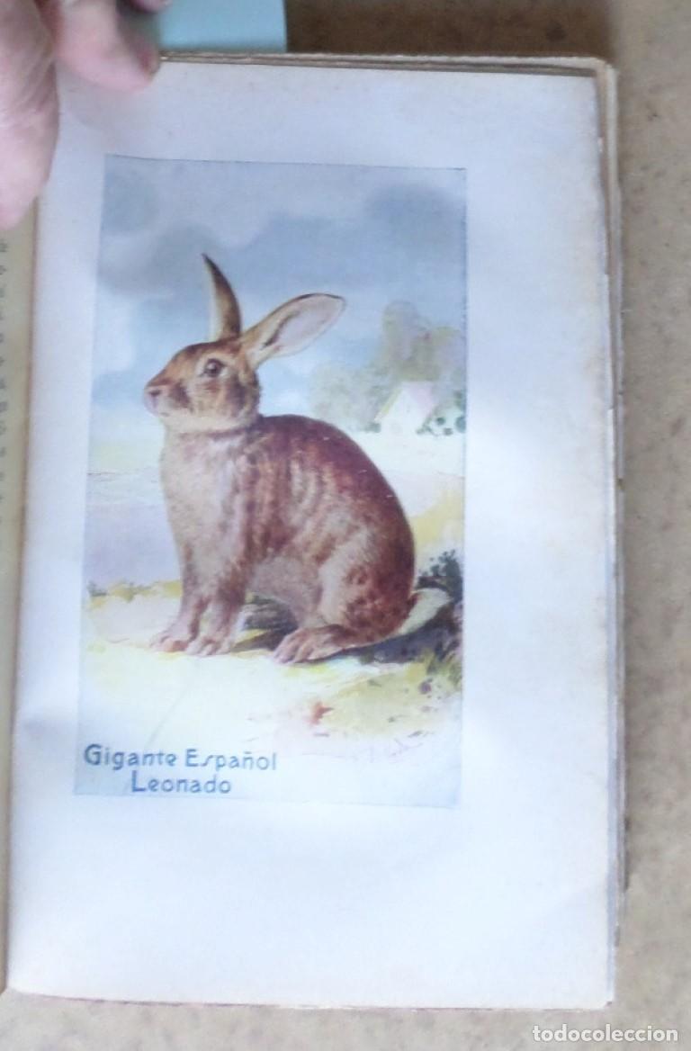 Libros de segunda mano: CONEJOS Y CONEJERAS - Ram&oacute;n J. Crespo - Ed. Espasa Calpes 1930 - Foto 9