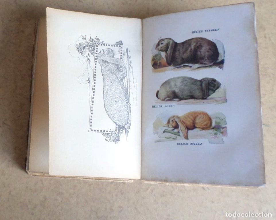 Libros de segunda mano: CONEJOS Y CONEJERAS - Ram&oacute;n J. Crespo - Ed. Espasa Calpes 1930 - Foto 10