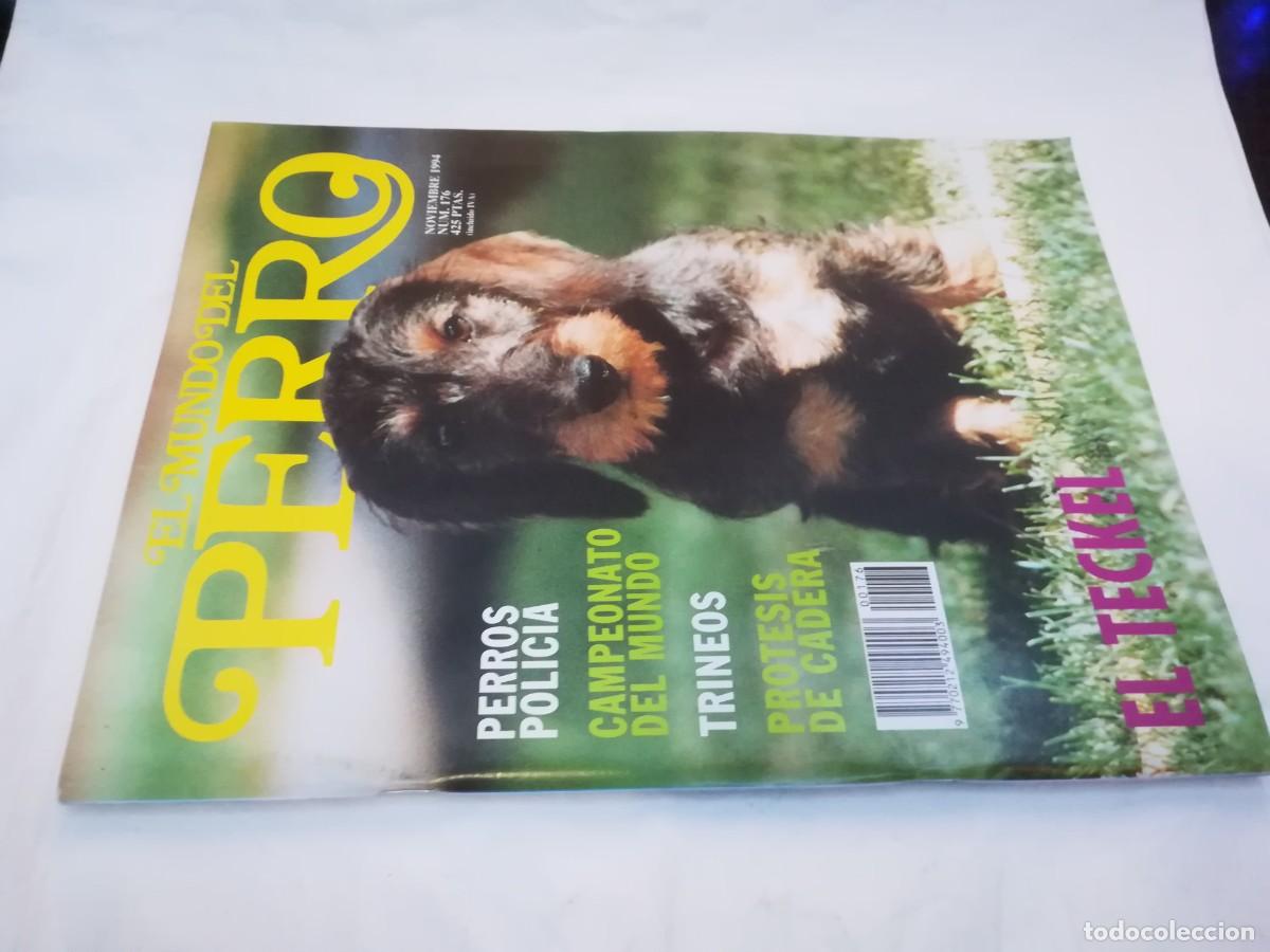 Libros de segunda mano: EL MUNDO DEL PERRO / R006 / 176 DE 1994 / EL TECKEL - Foto 1