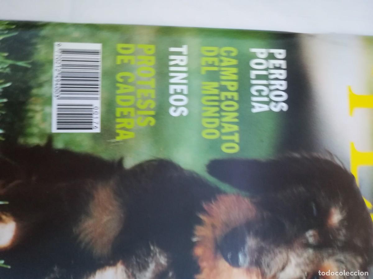 Libros de segunda mano: EL MUNDO DEL PERRO / R006 / 176 DE 1994 / EL TECKEL - Foto 4