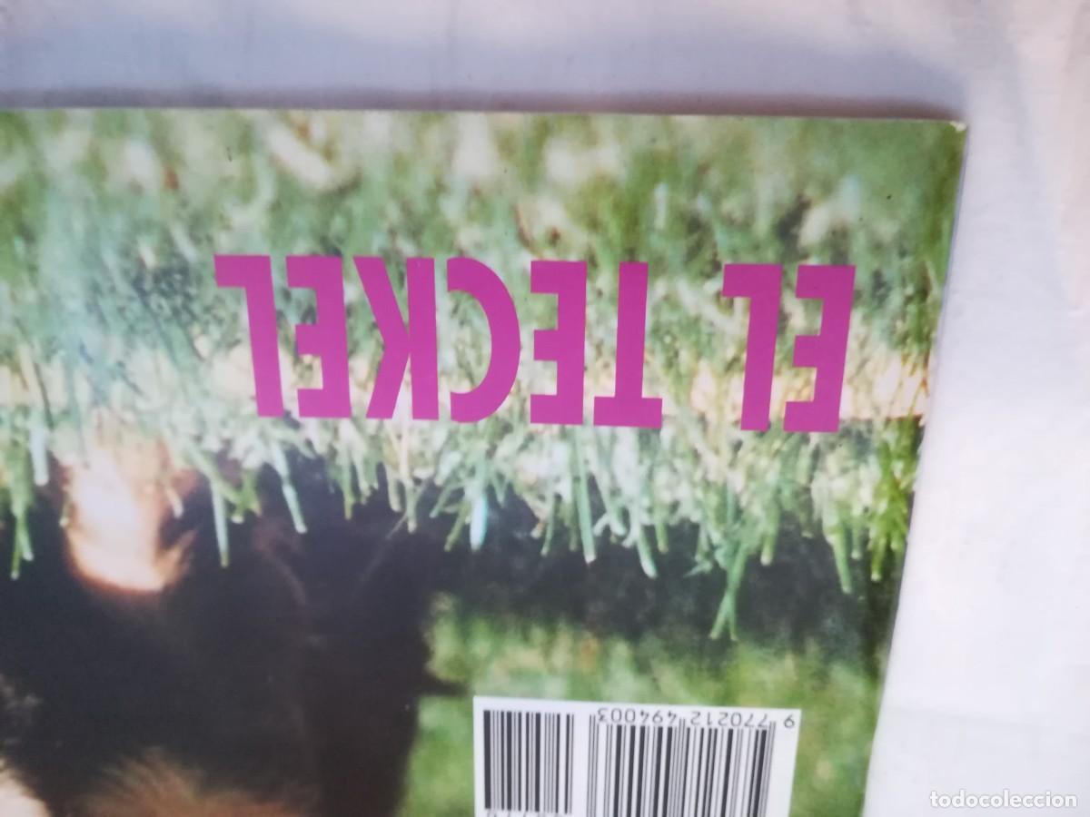 Libros de segunda mano: EL MUNDO DEL PERRO / R006 / 176 DE 1994 / EL TECKEL - Foto 5