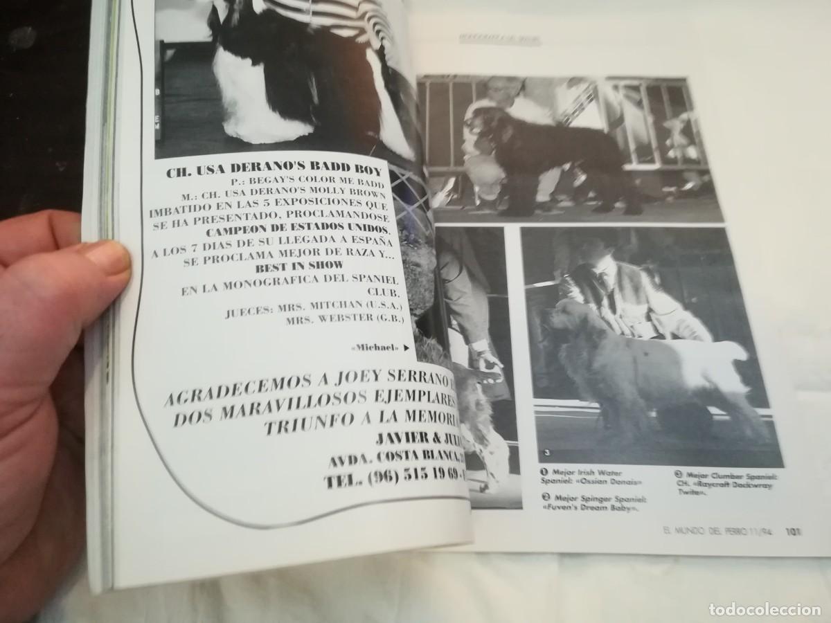 Libros de segunda mano: EL MUNDO DEL PERRO / R006 / 176 DE 1994 / EL TECKEL - Foto 6