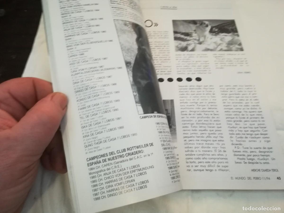 Libros de segunda mano: EL MUNDO DEL PERRO / R006 / 176 DE 1994 / EL TECKEL - Foto 8
